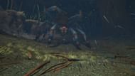 Use a shield or get out of the poison dart AoE (Image via Xbox Game Studios)